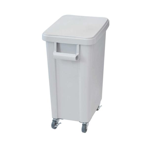 X ~[pLX^[y[ rt 45L O[ GY s