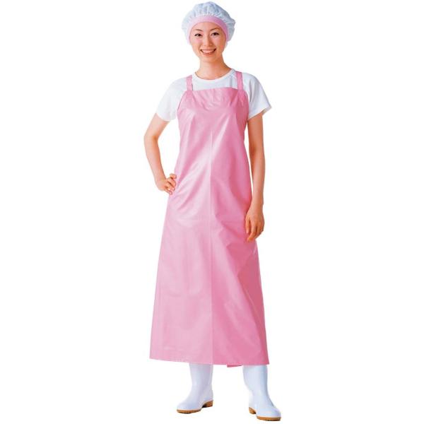 }CeBNX Gv  E-1001-3 x[W L s