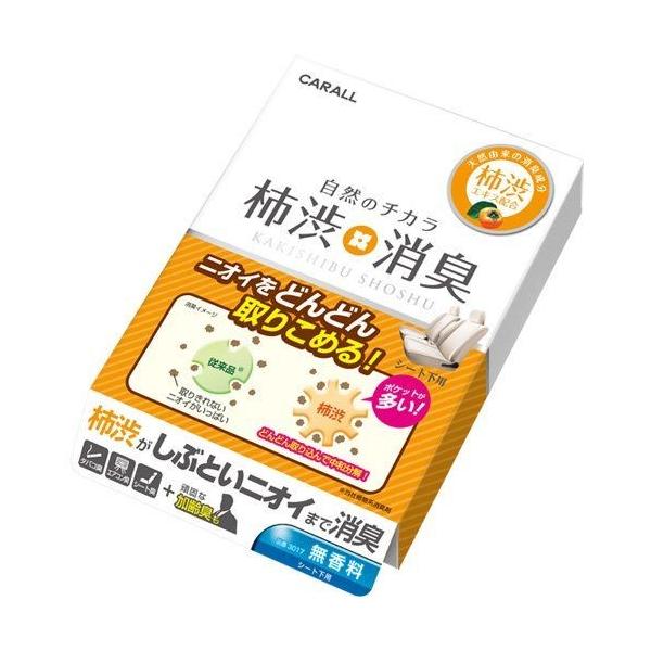 IJgY J[I[ ԗp `aLV[g  3017