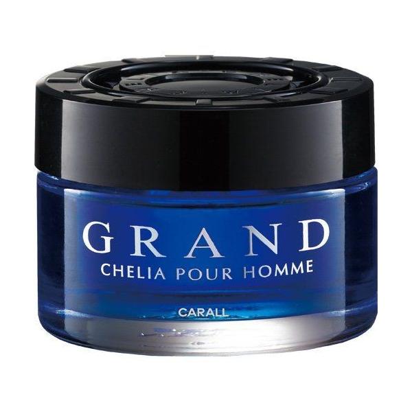 IJgY J[I[ ԗp F OhVFA65 L v`iV[ 3171