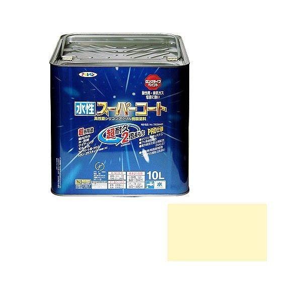 ATqy AP X[p[R[g 10L AC{[