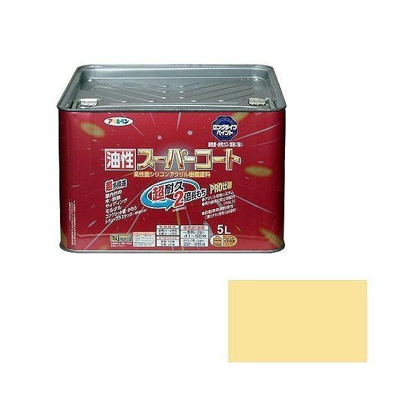 ATqy AP X[p[R[g 5L AC{[