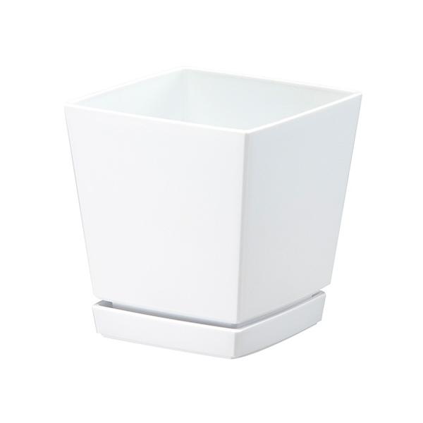 }g NG`[|bg Mt4 0.6L zCg