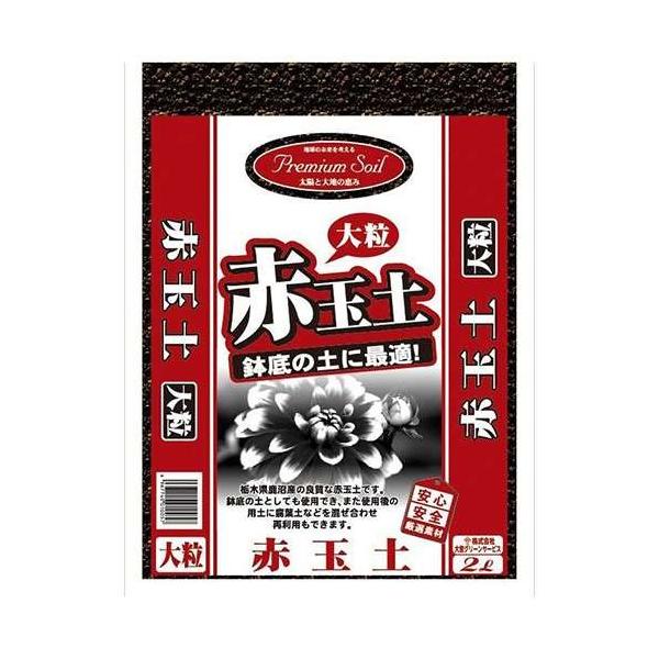 GS v~A\Cԋʓy 嗱 2L