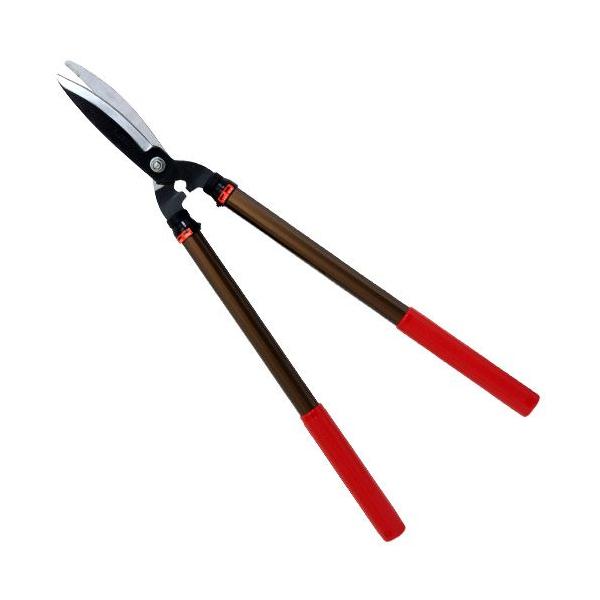 E|ValueELk͌^EEG-1000 |FFLk