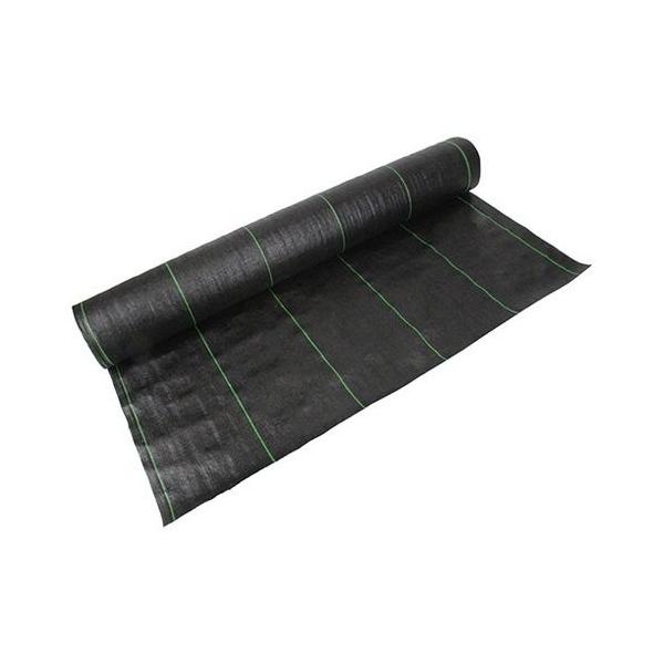 ZteB[3 xhV[g- 1MX50M