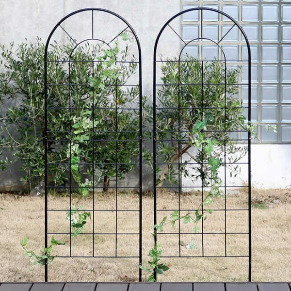 NVbNtFX150 [^Cv 4g tFX Ⴂ AeB[N K[f K[fjO  k 뉀 s