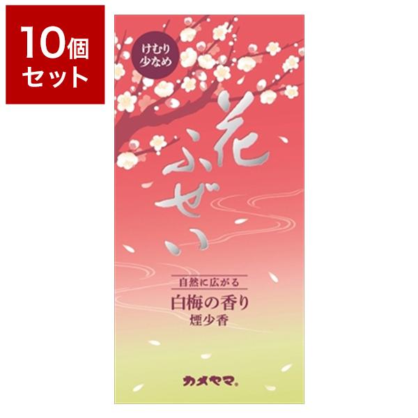 10Zbg J} Ԃӂ~  100g Zbg ܂Ƃߔ Zbg Zbg̔ Ɩp ~  ii s