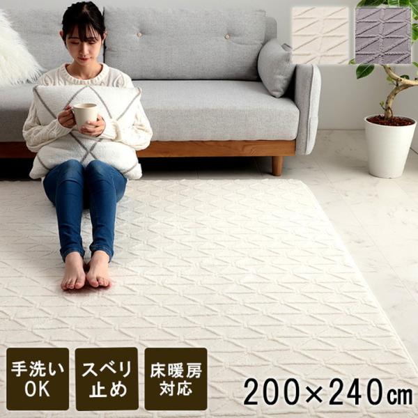 新品未使用 ホットカーペットカバー 3畳 ラグ 北欧 たためる 200×240 11007369.jpg