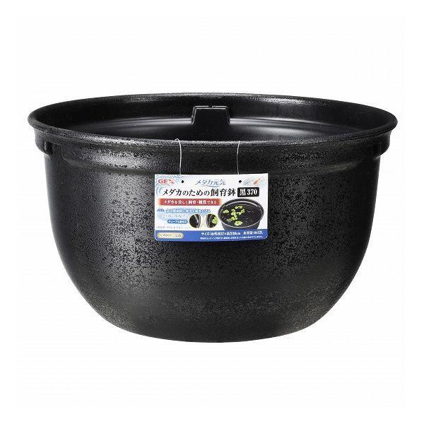 WFbNX _JC _Ĵ߂̎甫 370