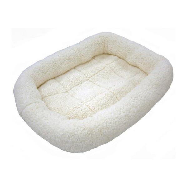 ybgv }CCtxbh SSTCY zCg ybgpi xbh