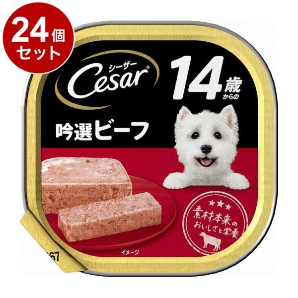シーザー トレイ 14歳からの シニア犬用 100g 吟選ビーフ 水分補給 ふわふわローフタイプ 総合栄養食 高齢期 ウェットフード ×24個