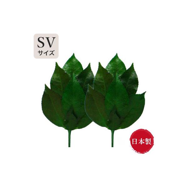 Y { t vU[uh SVTCY FS-003SV   _I _  d  s