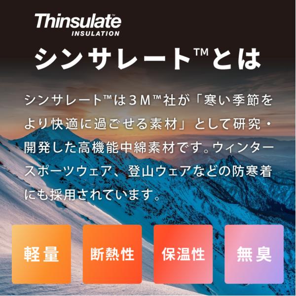 recommendo_ml-sk-thinex-s_1_d_20241004201035