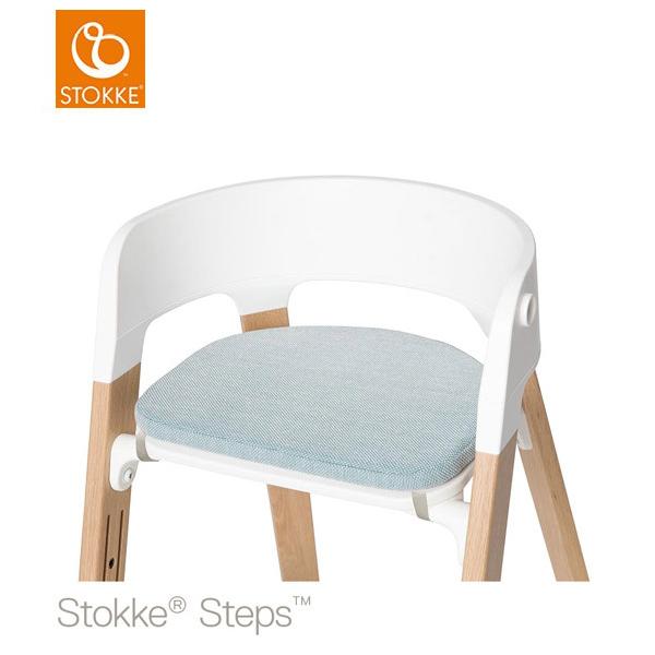 recommendo_ms-sk-steps-chcu