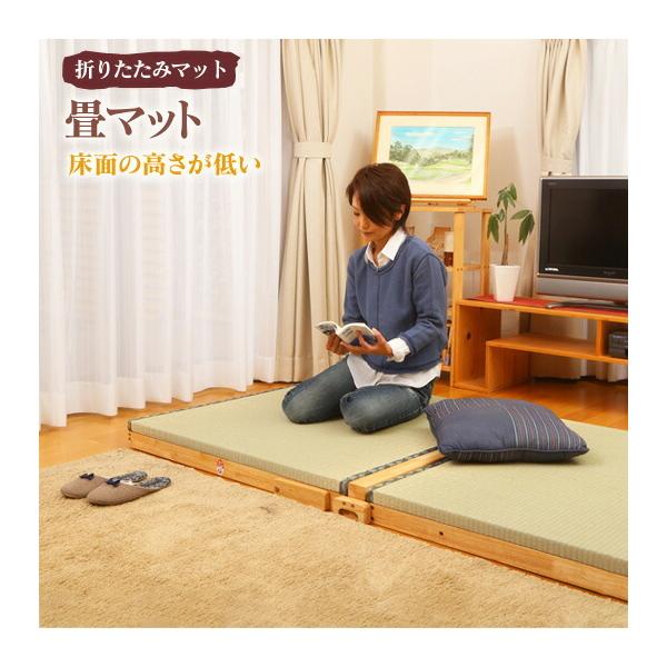 XvOt}bg ܂肽 9.5cm  XmR qmL Y { i RpNg ȃXy[X a a xbh s