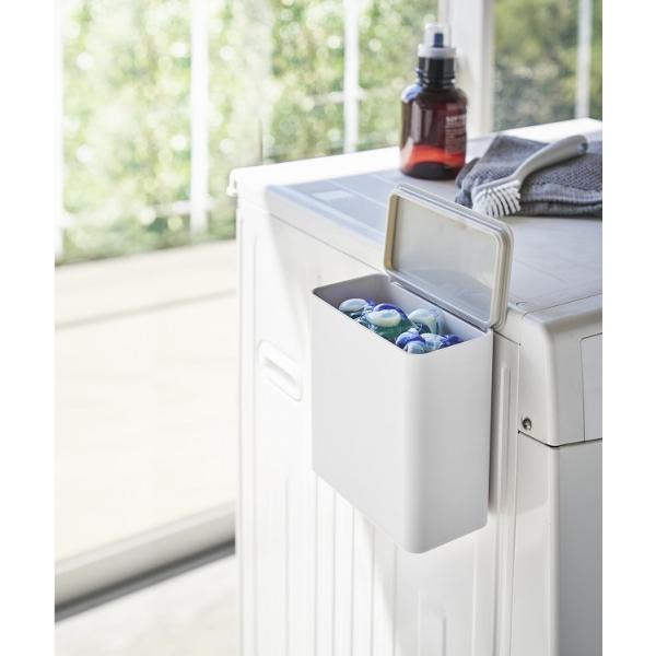 R }Olbg܃{[XgbJ[ v[g Plate zCg