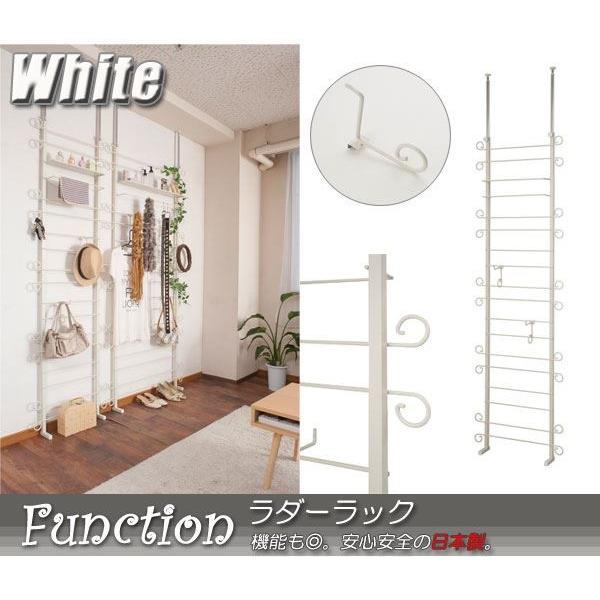 ˂ǖʃJ[[fUC_[bN 60cm zCgF s