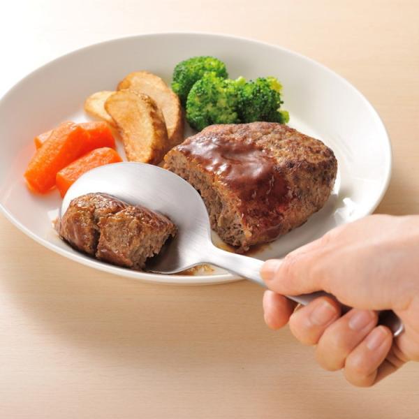 I[NX { leye iCt LS1509 O CG t 蕪