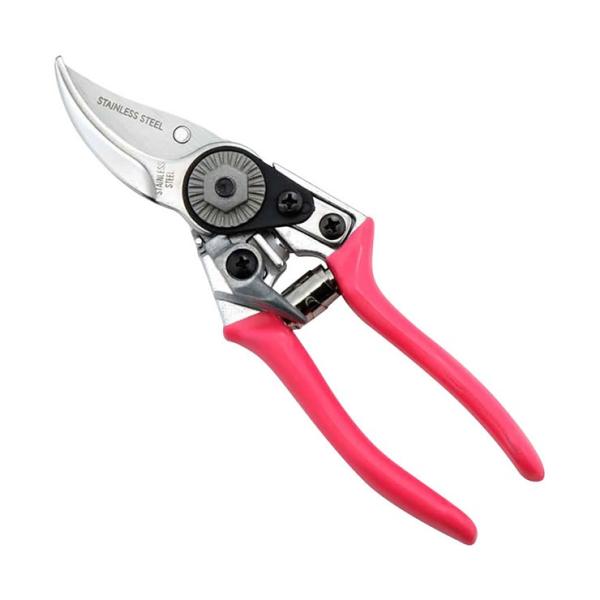 NN nT~ SV-5776 Z[uEC_Xg[ ͂  s