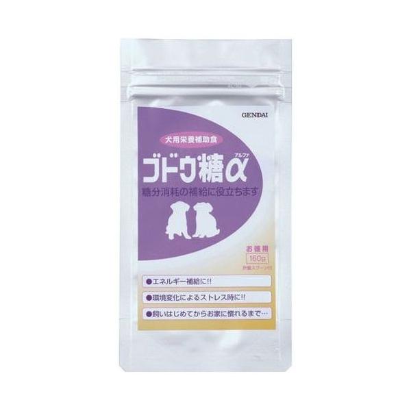 他サイト： 現代製薬 ブドウ糖α 160gの商品画像