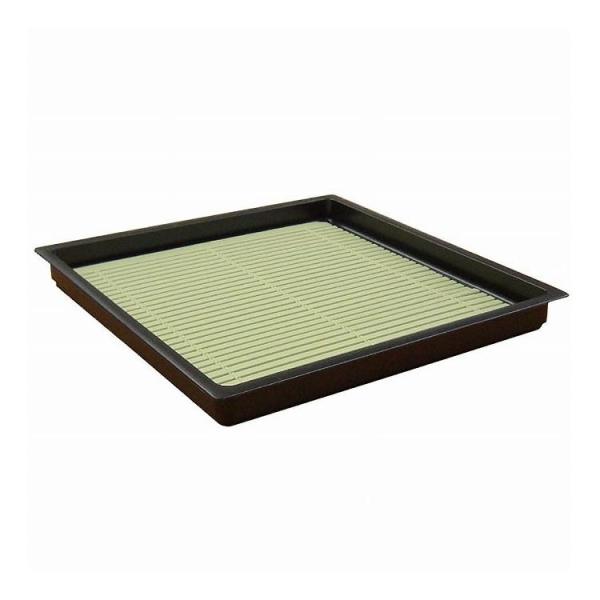 y5ZbgzR[xbN pΎM ΃Xt 19cm