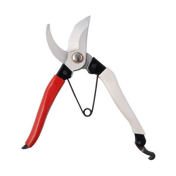 A[NhTJg CLUB.J S|  ~ 200mm p