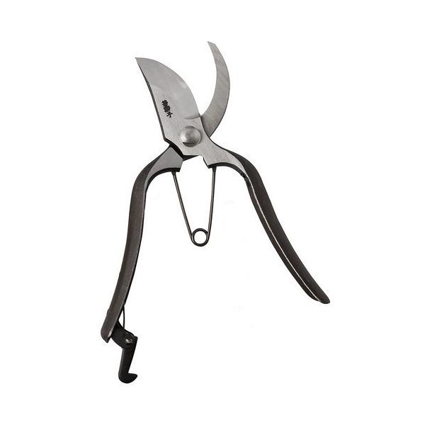 A[NhTJg ᎂq  ~ 200mm