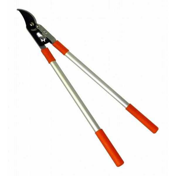 A[NhTJg CLUB J A~nhMA}  725637