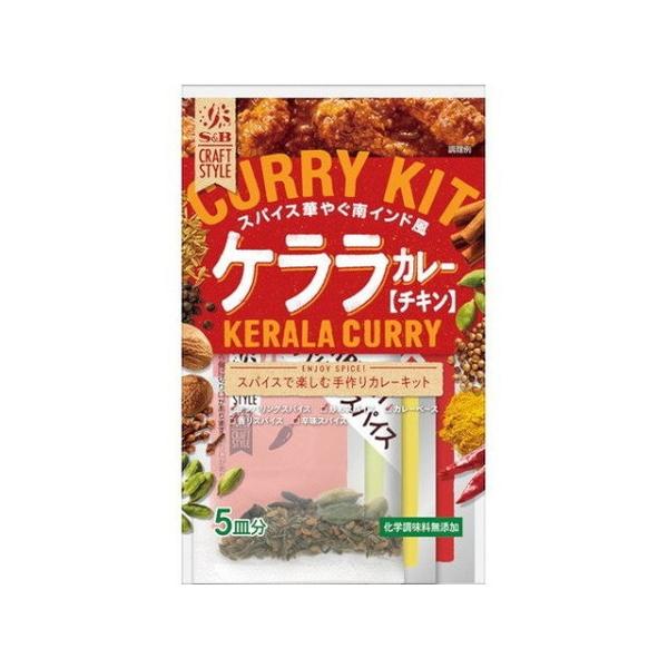 S＆B CRAFT STYLE ケララカレー ( 90.5g ) ( エスビー食品 手作り スパイスカレー エスニック )