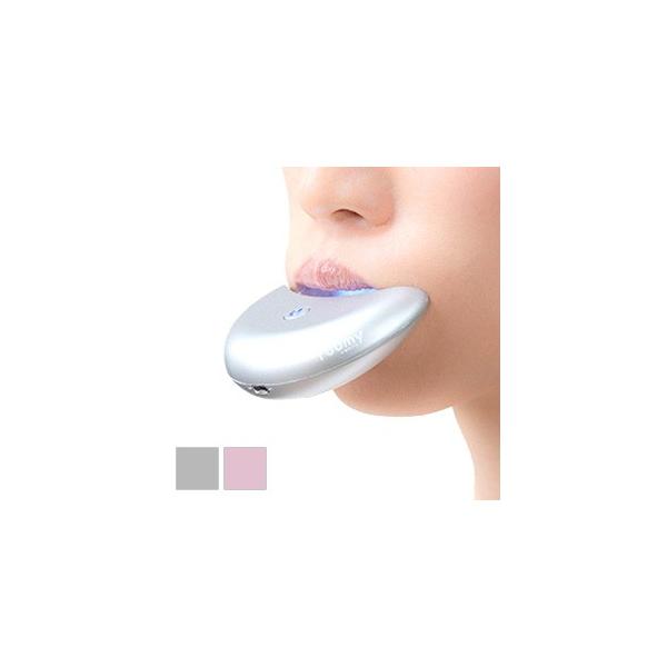 ホームデンタル ルーミーホワイト roomy white 本体セット  