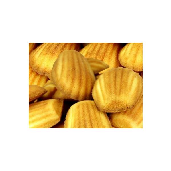 ԕiELZs LmَqX̍}h[kǂ1kgMtg J^OMtg lC lߍ킹 l s