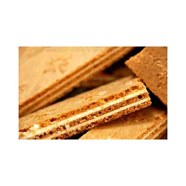 ԕiELZs TNTN zCg`RTho[ǂ1kg Mtg J^OMtg lC lߍ킹 l s