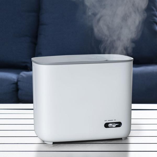 recommendo_t1-st-t1828