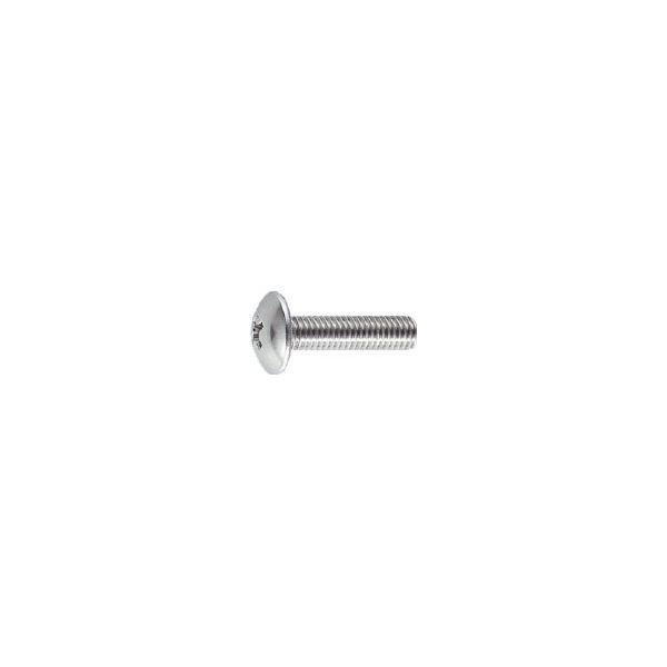 他サイト： ＴＲＵＳＣＯ トラス頭小ネジ ステンレス サイズＭ6Ｘ12 35本入 B52-0612 ねじ・ボルト・ナット・小ねじの商品画像