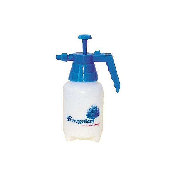 _ SXv\ NO626 {gEeEXv[e