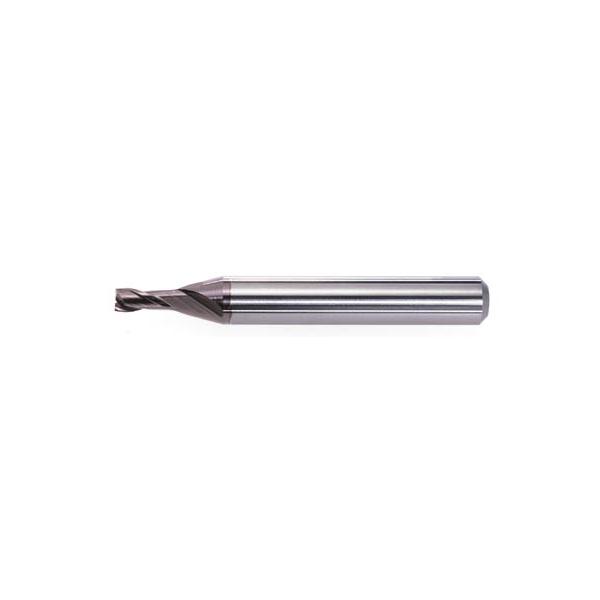 �O�H�j 2���n�G���X�^�[�G���h�~���l MS2MSD0030 ����E�t���C�X���H�H��E���d�X�N�G�A�G���h�~��
