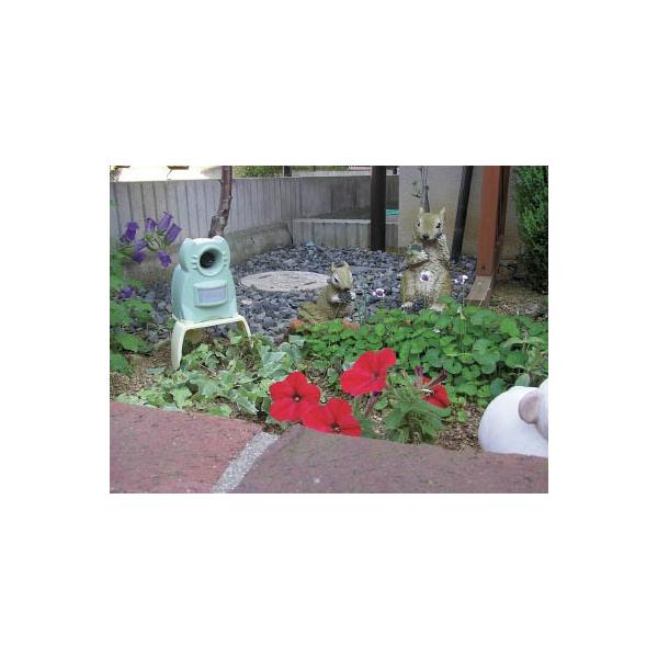 ^J K[foA~j GDX-M P@EhEEpi