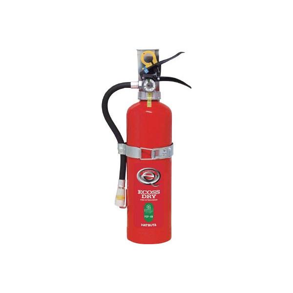 g`srts` ~Ί ԗp4^ PEP-4V hЁEhƗpiEΊ