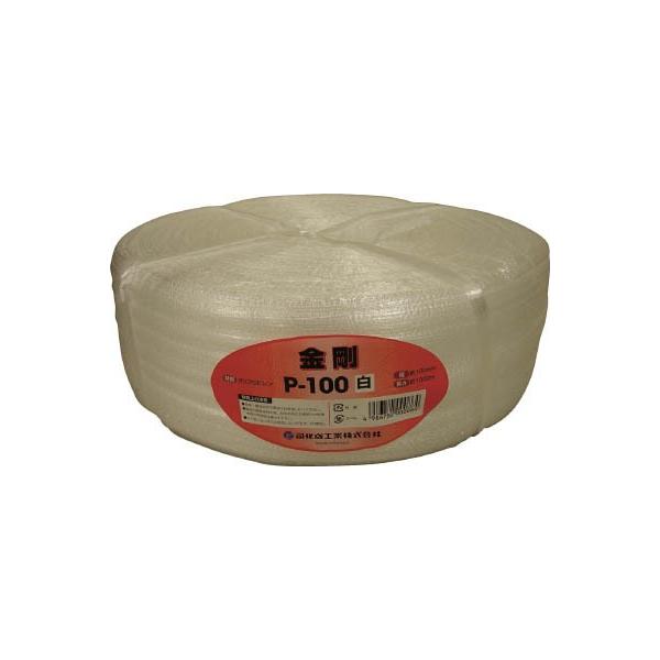 cJT 茋poo cJTe[v o|100v  P-100W [vEЂEЂ