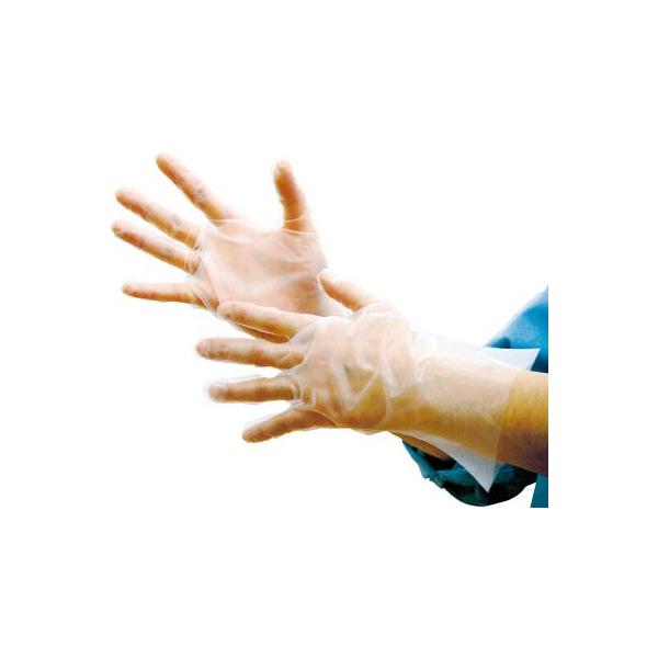 pbN G{X܌ܖ{iGRm~[ϔl EEK-M Ǝ܁EĝĎ