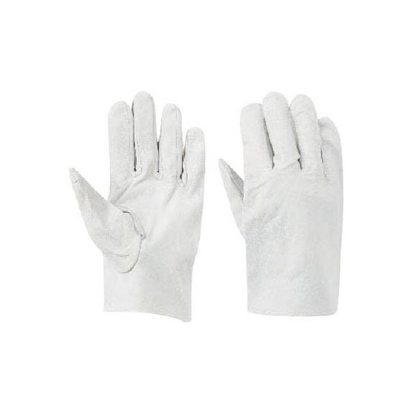 g ؊v NXgb 10o 482-C Ǝ܁Ev