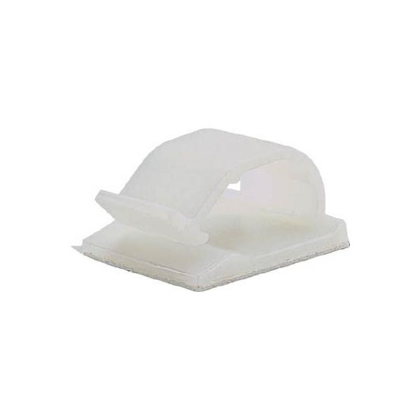 phECbg Œ R[hNbv SnSe[vt i` ACC38AC