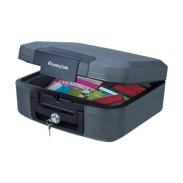 Zg[ |[^uω΁Ehۊǌ CHW20101