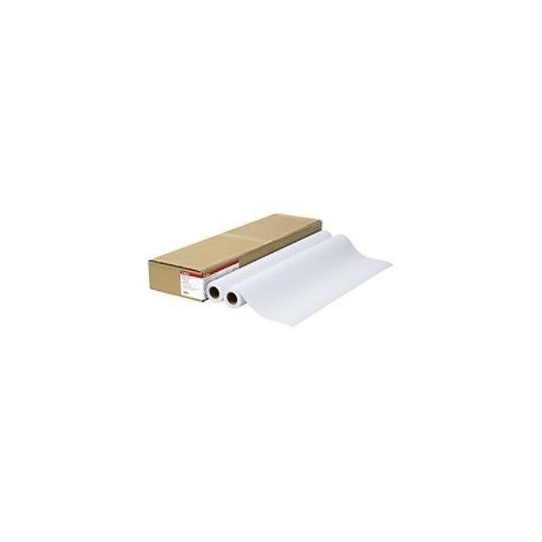 �L���m�� ���[���V �X�^���_�[�h�t�c�E�V2 LFM-PPS2/24/ (1��)