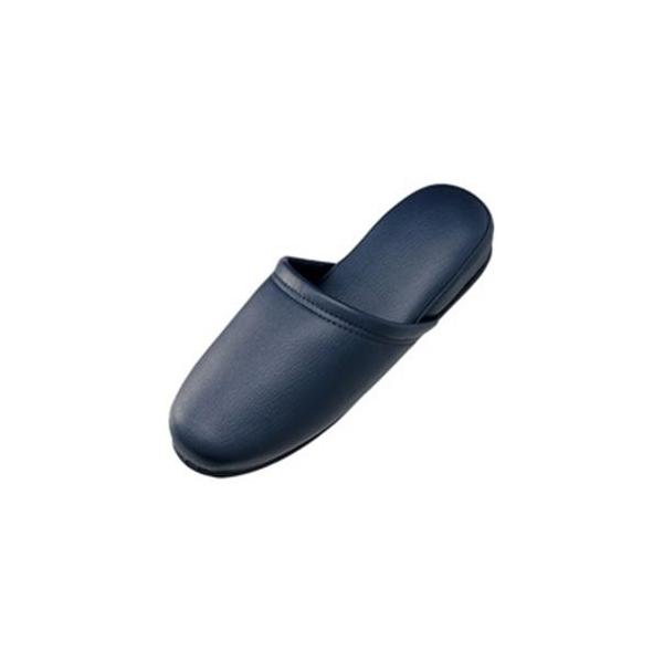 WCebNX Xbp30 _[Nu[ N117J-DB-3P s