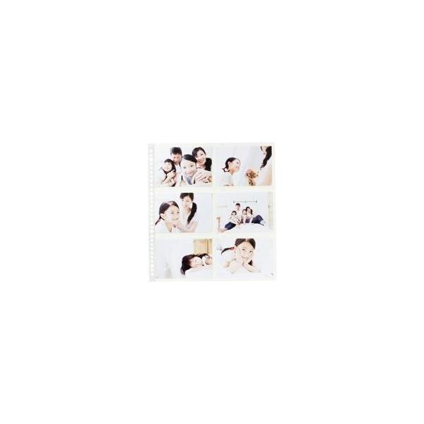 iƖp50ZbgjnNoʐ^Y tHgVXet@C䎆zCg520460 s