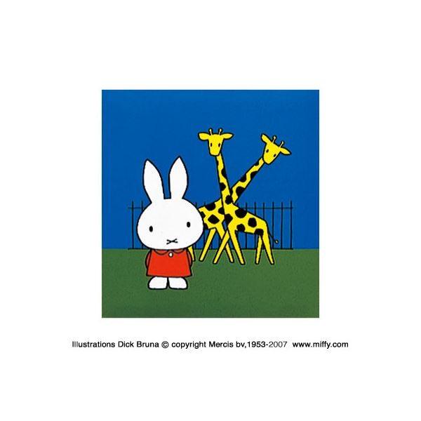 (ƖpZbg) fBbNEu[i ~btB[ tGAo ʐ^ A-SA-121-2 u[k×5Zbgl s