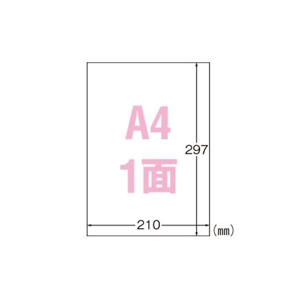 iƖpZbgj G[ OłgTCxV[ ctBE 31036 10 k×2Zbgl s