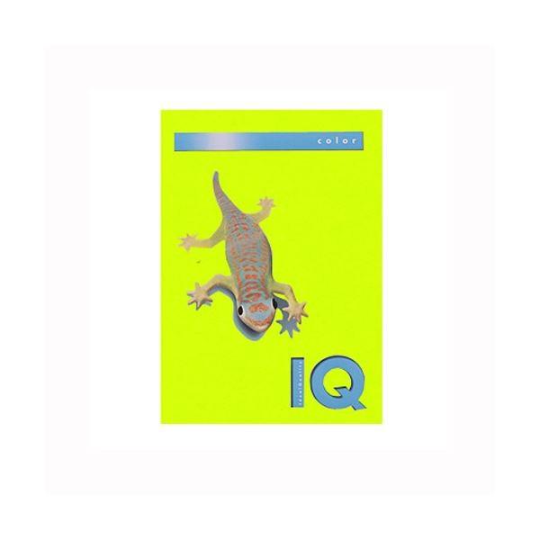 iƖpZbgj ɓ oCIgbvJ[ A4 500 80g^m2 BT514 CO[ k×2Zbgl s